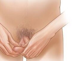 Jelking -oefeningen om de penis te vergroten